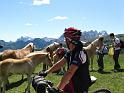 DOLOMITI2009 (116)